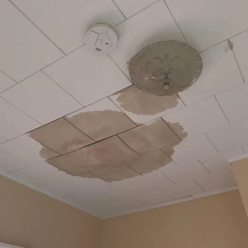 Ceiling Water Damage Repair in Gatesville, NC