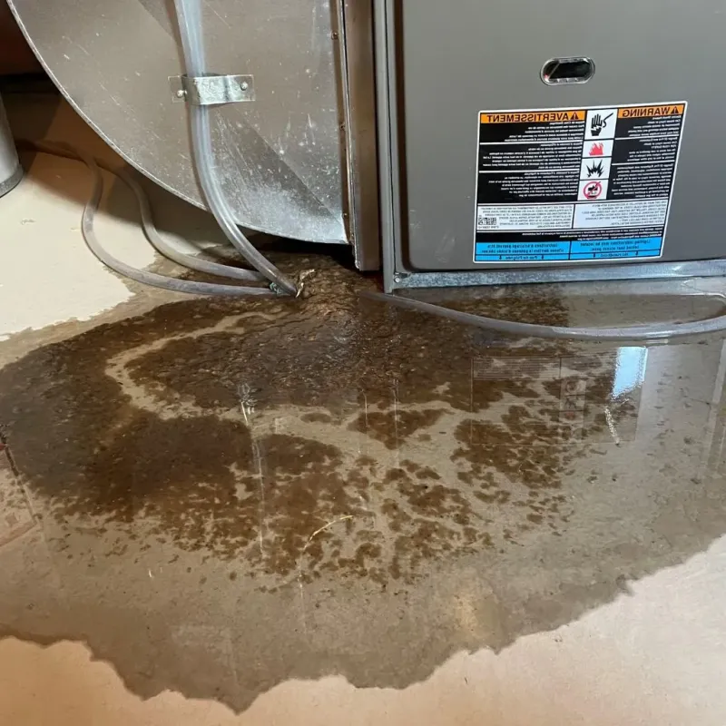 Pipe Burst and Leak Restoration in Gatesville, NC
