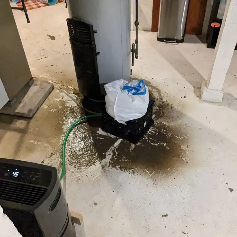Sewage Backup Cleanup Service in Gatesville, NC